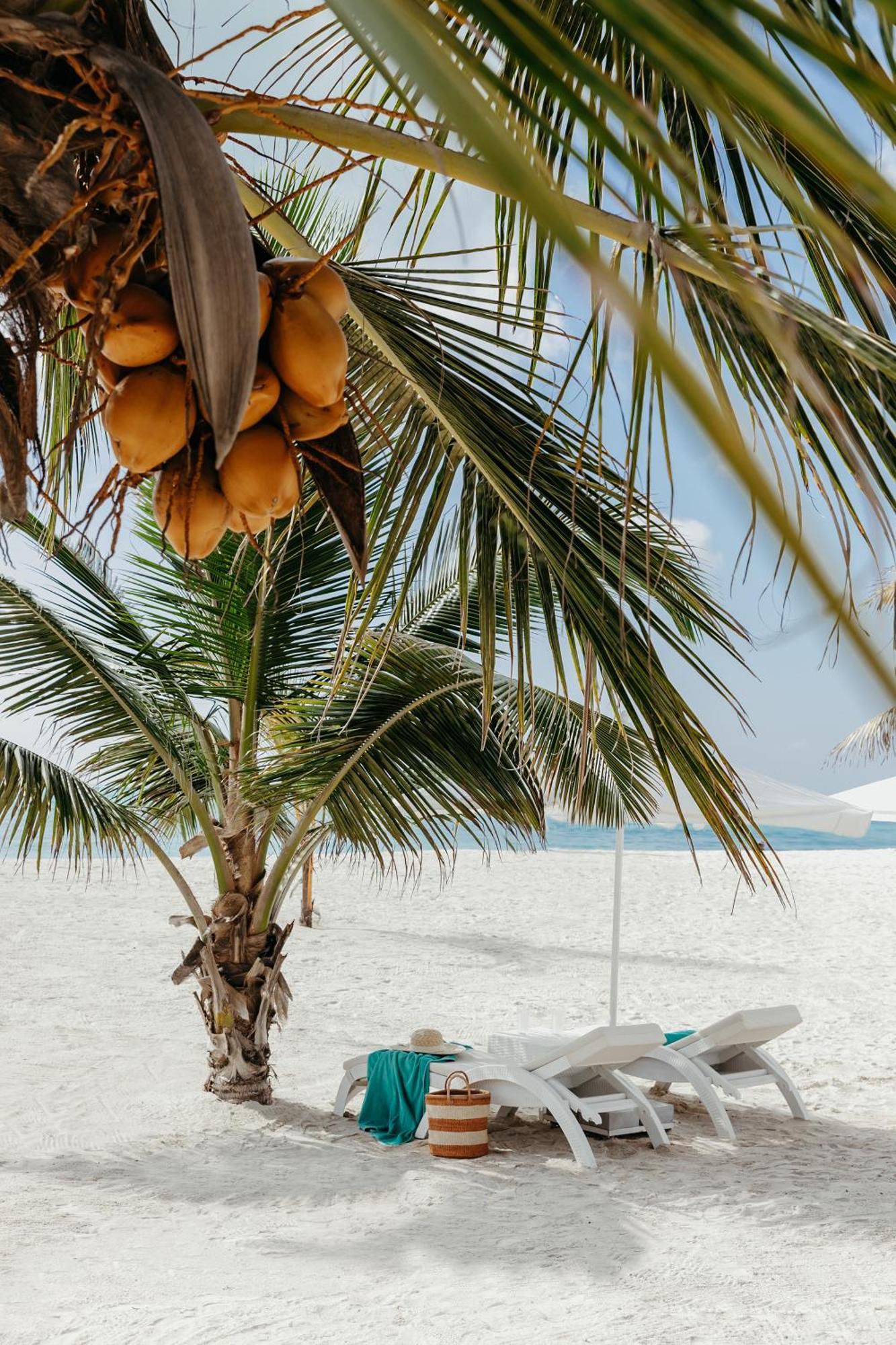 Hotel Lux* Marijani Zanzibar Pwani Mchangani Exteriér fotografie